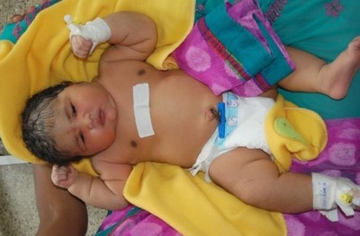 ވިހޭ އިރު މި ކުއްޖާގެ ބަރުދަނަކީ މުޅި އިންޑިއާގެ ވެސް ރެކޯޑެއް