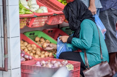 ބިހާއި އަލުވީގެ އަގު އުފުލި، ފިޔާ ބަސްތާއަކުން 100ރ. ބޮޑުވެއްޖެ