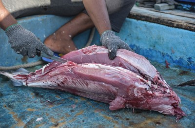 ރާއްޖޭން ބޭރުކުރާ މަހަށް ދެމުންދިޔަ ޑިސްކައުންޓް އުވާލަން ނިންމައިފި