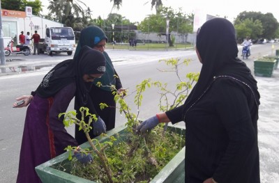ފޭދޫން ފެނުނު ފިސްތޯލައެއް ކަމަށް ބެލެވޭ އެއްޗެއް ފުލުހުންނާ ހަވާލުކޮށްފި