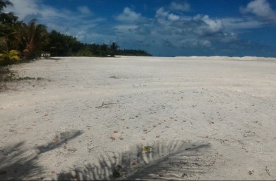 މުލީ ބިން ހިއްކުމުގެ މަސައްކަތް ހުއްޓިފައި އޮންނަތާ ދެ މަސް ފަހުން އަލުން ފަށައިފި