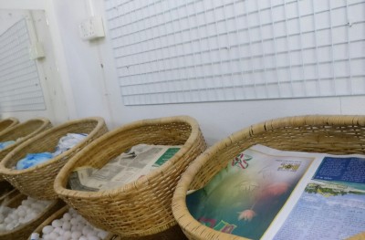 އަގުބޮޑުވާތީ ބައެއް ފިހާރަތަކުން ކާޑުގެ ބާވަތްތައް އާދަޔާ ހިލާފަށް ގިނައިން ވިކެނީ