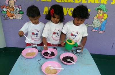 ކެންގަރޫ ކިޑްސް: ތަފާތު ސްކޫލެއް