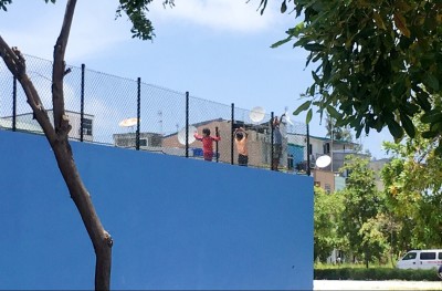 ކުޑަކުދިންގެ ހިޔާގައި މަރުވި ކުއްޖާގެ ޕޯސްޓްމޯޓަމް ހަދަނީ