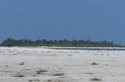 މޫދަށް ދިޔަ މީހަކު ގެއްލިގެން ހޯދަނިކޮށް މޫދުގައި މަރުވެފައި އޮއްވައި ފެނިއްޖެ