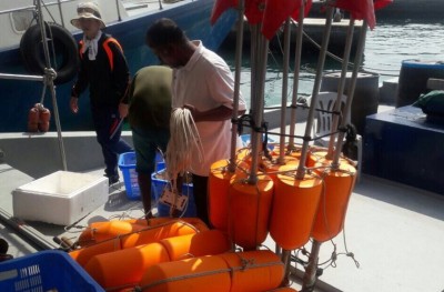 ދުނިޔޭގައި އަގުބޮޑު ބޯވަދިލަމަހުގެ ވައްތަރެއް ރާއްޖޭގައި އަލަށް ހިފައިފި