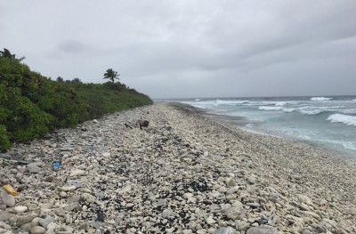 ބޯޓުން އުކާލި ހިލަތަކުން ފުވައްމުލަކު ގޮނޑުދޮށް ކަޅުވެއްޖެ