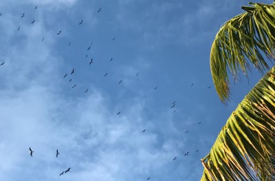 އަހަރުތަކަކަށް ފަހު ފުވައްމުލަކަށް ފުޅަނގި މޫސުން، ގިނަ ބަޔަކަށް ބޮޑު މަޖަލެއް!