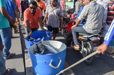 ދިރިއުޅުމަށް މަސައްކަތް ކުރުމުގެ މާތްކަން