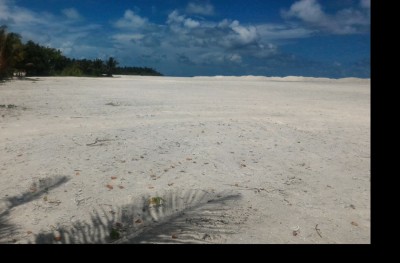 މުލީ ބިން ހިއްކުން ނުނިމި ދިގުލައިގެން ދާތީ ކައުންސިލުން ކަންބޮޑުވެއްޖެ