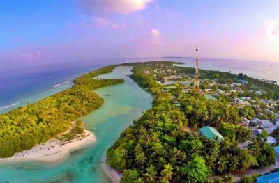 ފުނަދޫގައި ކުޑަ ކުއްޖަކު އަތުނުވާންވެގެން ދިރާގު އެއްޓަނާގެ މައްޗަށް އަރައިފި، އަދިވެސް ނުފައިބައި!