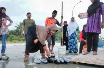 ކީއްވެ ފިރިހެނުންނަށް ދޫކުރަންވީ؟ ގޮއިދޫ އަންހެނުން މަހަށް