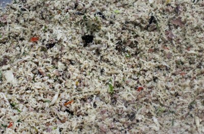 އެންމެ މީރު އެއް މަސްރޮށީގެ އެންމެ ބޮޑެތި ސިއްރުތައް