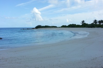 ބިޑަށް ނުލައި ވިއްކާލާ ރަށްތަކުގެ ލިސްޓަށް އިތުރު ތިން ރަށެއް ހިމަނައިފި