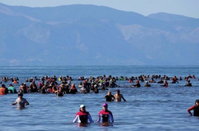 ނިއު ޒީލެންޑުގެ ގޮނޑުދޮށަށް ލައްވި 100 އަށް ވުރެ ގިނަ ބޮޑުމަސް ފުންކޮށްފި