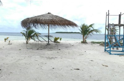 ޑައިވިން އަށް ދިޔަ ޓޫރިސްޓަކު ބުރަފަތީގައި ޖެހި އަނިޔާވެއްޖެ