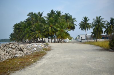 ލޮލަކަށް ނުފެނޭ އެކަމަކު ދިރިއުޅުމުގައި ނުހިނގާ މަގެއް ނެތް!