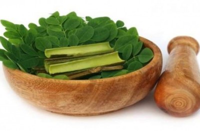 މަސްގުޅަކެއުމާއި ދުޅަޔަށް މުރަނގަފަތުގެ ފަރުވާ