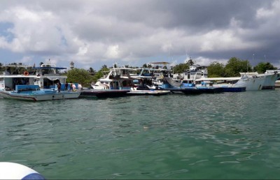ކޫއްޑޫ އަށް ނުކިރުވިގެން 50 ޓަނުގެ މަސް އުކާލައިފި