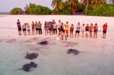 ސަން އައިލެންޑަށް މި ޑޮކްޓަރުގެ އޮތީ ހާއްސަ ލޯތްބެއް