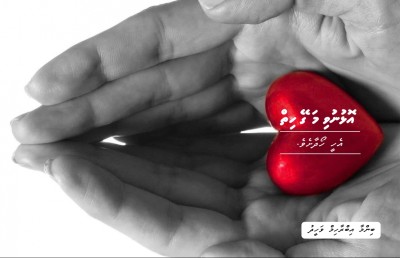 އޮޅުނުވި މަގޭ ހިތް
