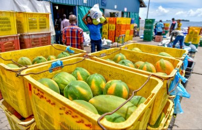 މާރުކޭޓުގައި ދިވެހި އުފެއްދުންތައް ތިޔާގި ވިޔަސް ބައެއް ބާވަތްތަކުގެ އަގު އުފުލެނީ