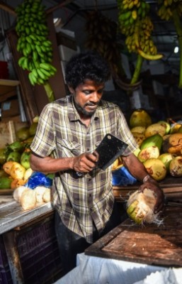 ކާއްޓާއި ކުރުނބާގެ އަގު ހެޔޮކުރަން އެގްރިކަލްޗަ މިނިސްޓްރީގެ ބައެއް ފަޅުރަށްރަށް ހުޅުވާލައިފި