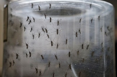 ރާއްޖެ އައި ކޮރެއާ މީހަކަށް ޒިކާ ވައިރަސް ޖެހިއްޖެ