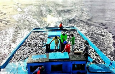 މަސްވެރިއެއްގެ އާމްދަނީ، ފަސް މަސް، ހަތަރު ލައްކަ ރުފިޔާ!