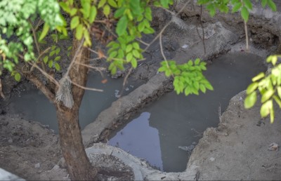 އަލިރަސްގެފާނު ޒިޔާރަތް ބަންދުކޮށް، ކޮންނަން ފަށައިފި