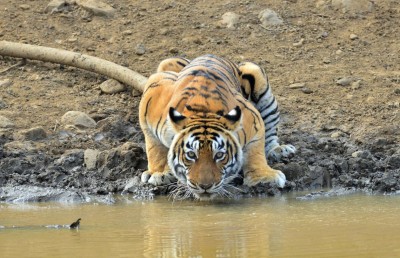 ފައިސާގެ ބޭނުމުގައި މައިންބަފައިން މިނިކާވަގަށް ދެނީ