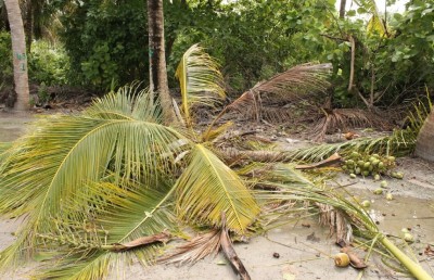 ކޮޅިގަނޑެއްގައި އިސްދޫ އެއްގަމުތޮށި ފުނޑުފުނޑު ވެއްޖެ