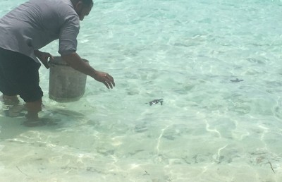 ގެއެއްގައި ގެންގުޅުނު ކުދި ވެލާތަކެއް ސަލާމަތްކޮށްފި