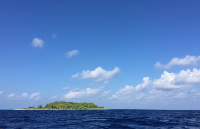 ހިމާޔަތްކޮށްފައިވާ ސަރަހައްދަކަށް ނަގިލި އެއްލައިގެން ކުރި ތިން ލައްކަ ރުފިޔާގެ ޖޫރިމަނާ ދައްކައިފި