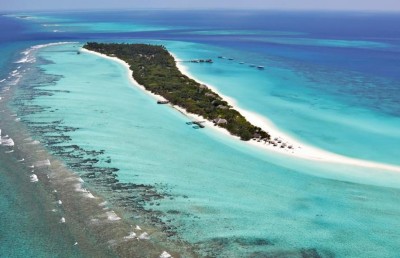 ޕާމް ބީޗް ރިސޯޓުގެ ހުއްދަ ބާތިލުކުރުމުން ރިސޯޓު ހިންގުން މެދުކަނޑާލައިފި