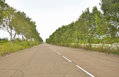 ހުޅުމާލޭގައި ހިނގި އެކްސިޑެންޓެއްގައި އަނިޔާވި އުމުރުން ދުވަސްވީ މީހަކު އައިސީޔޫގައި