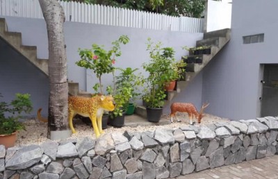 ކުޑަކުދިންގެ ބަގީޗާގެ ކޮއްޓެއްގައި ބެހެއްޓި "ޖަނަވާރުތައް" ނެރެފި