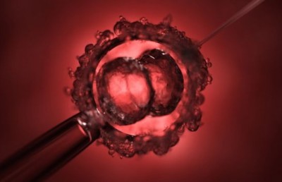 އެމްބްރިޔޯތަކެއްގެ ޑީއެންއޭ އެޑިޓްކޮށް ތެލެސީމިއާ ނައްތާލައިފި