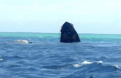ރޯވި ތެޔޮ ބޯޓު އޮޔާ ދަނިކޮށް ހިފަހައްޓައިފި