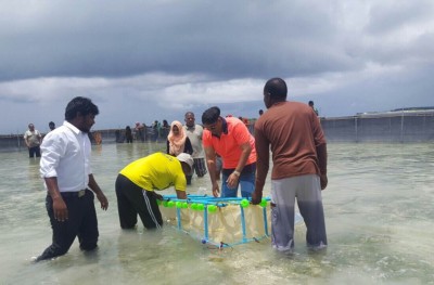 ހުއިފިލަނޑާ އާލާކުރަން ލ. އަތޮޅުން 122 މީހަކަށް ލޯނު ދޫކޮށްފި