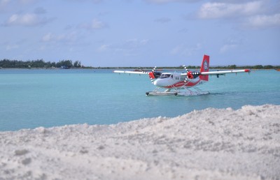 ޓީއެމްއޭގެ މެޖޯރިޓީ ހިއްސާ ގަންނަން ޗައިނާ އާއި އެމެރިކާ ކުންފުންޏަކުން ގުޅިގެން މަސައްކަތް ކުރަނީ