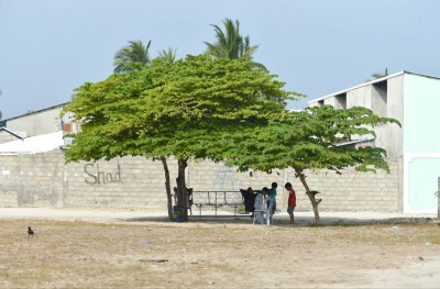 މާލެ-ރާއްޖެތެރެ އިން ލިޔުންތެރިއަކު ކިޔައިދޭ ހަގީގަތް