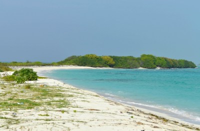 ފްލެޓް: "ގެދޮރެއް ނޫން، ޖަލު ގޮޅިތަކެއް"