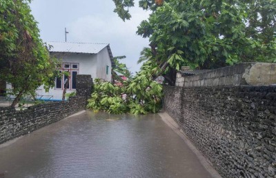 ވިއްސާރައިގައި ބޮޑަށް ގެއްލުންވީ ދަނޑުބިންތަކަށް: ޑިޒާސްޓާ