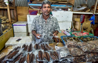 ވަޅޯމަސް މާރުކޭޓް ހުސްކުރަނީ، ވިޔަފާރިވެރިން ގޮތް ހުސްވެފައި!