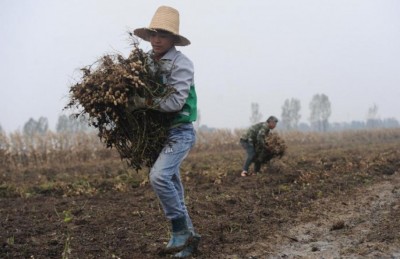 ކިޔެވުން މެދުކަނޑާލާފައި މަންމަގެ ފުރާނަ ސަލާމަތްކުރުމުގެ މަސައްކަތުގައި