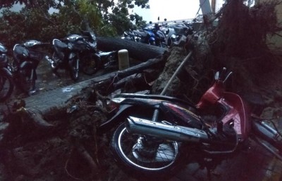 ގާޒީ ބިލްޑިިންގް ކައިރީ ހުރި ގަހެއް ވެއްޓި ސައިކަލުތަކެއް ހަލާކުވެއްޖެ