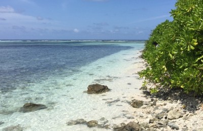 ހޯޑެއްދޫ އިންޖީނުގޭގެ ތިޖޫރީ ވަގަށް ނެގި މައްސަލައިގެ ތުހުމަތަށް މީހަކު ހައްޔަރުކޮށްފި