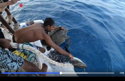 ދެ މިޔަރާއި ވެލައެއް ސަލާމަތްކުރިޔަސް "ހީރޯއެއް ނޫން"