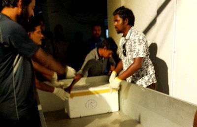 ރިސޯޓުތަކުން ރާ ގެންދިޔުމުގެ އޮޕަރޭޝަން ހިންގަނީ ސުލްހަވެރިކަމާއެކު: ކަަަަސްޓަމްސް